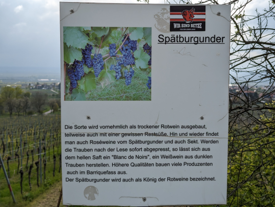 Hohe Loog, Neustadt
16. April 2023